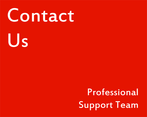 Contact Us - Professional Support Team